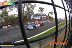 Bathurst2018(DarinMandy)_7545