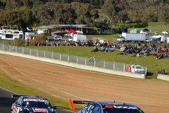Watermark Pye 10 Bathurst 1000