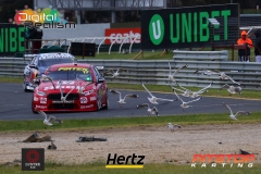 Sandown2018(DarinMandy)_0723
