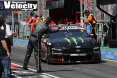 AUSGP2019(DarinMandy)_4064