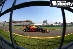 AUSGP2019(DarinMandy)_4862