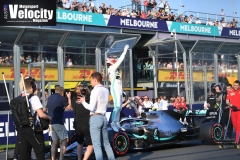 LR Hamiton Pole 1 AGP
