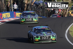 B12HR2019-(DarinMandy)_2369