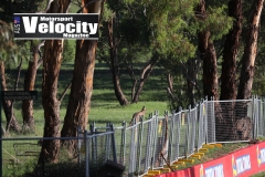 B12HR2019-(DarinMandy)_2803