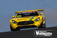 B12HR2019-(DarinMandy)_5098