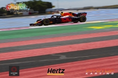FrenchGP2018(DarinMandy)_2369
