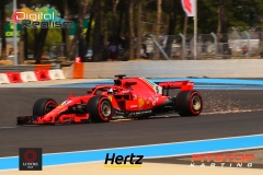 FrenchGP2018(DarinMandy)_3654