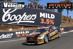 Bathurst2019DarinMandy_4273