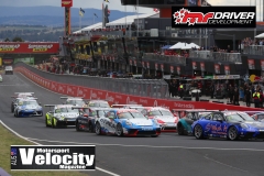 Bathurst2019DarinMandy_6865