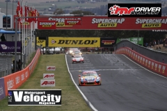 Bathurst2019DarinMandy_6884