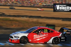 LR-Will-Davison-4-QR