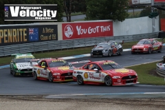 Sandown2019DarinMandy_6291
