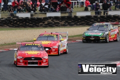 Tassie2019(DarinMandy)_1989