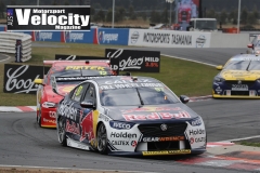 Tassie2019(DarinMandy)_3692
