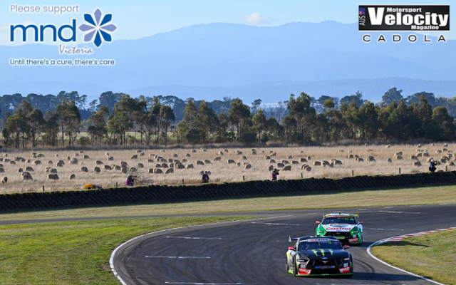Waters Randle 3 Supercars Tas